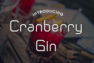 Cranberry Gin Free Tech Sans Font by Typodermic